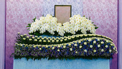 一日葬プランの祭壇