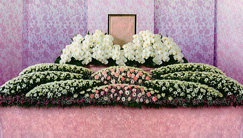 一日葬プランの祭壇